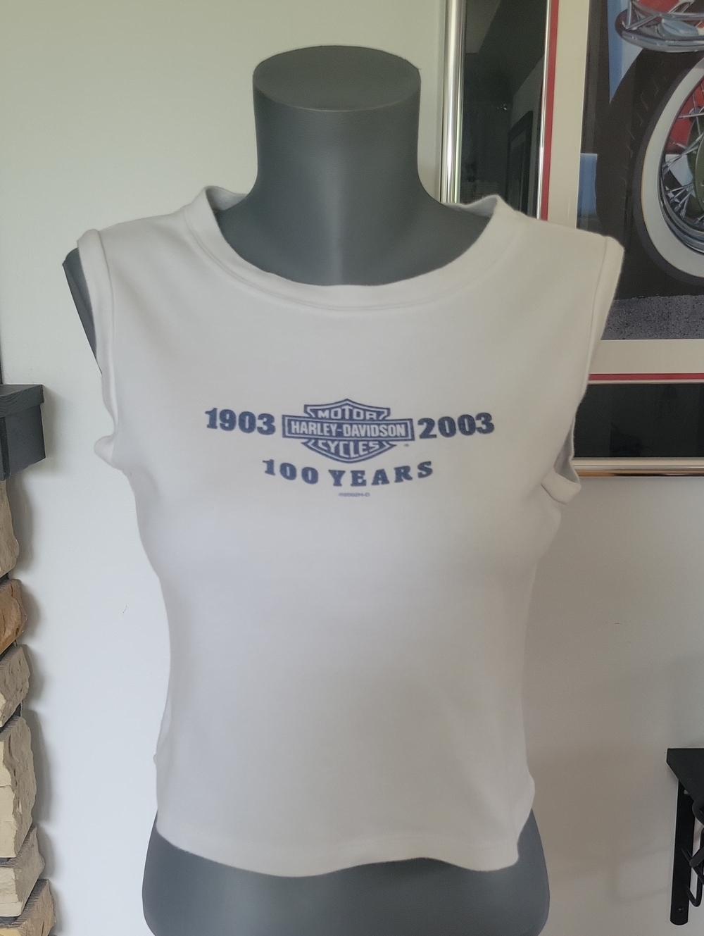 Harley-Davidson 100 Years Cropped Top Medium White/Blue Vintage